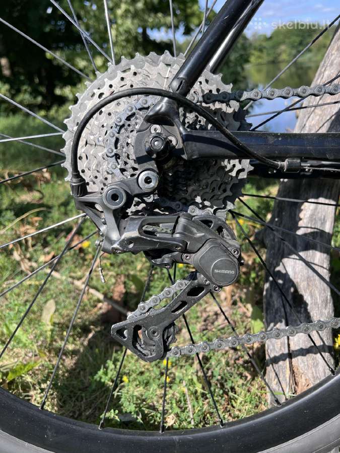 Rose pro cross - nuotraukos Nr. 5