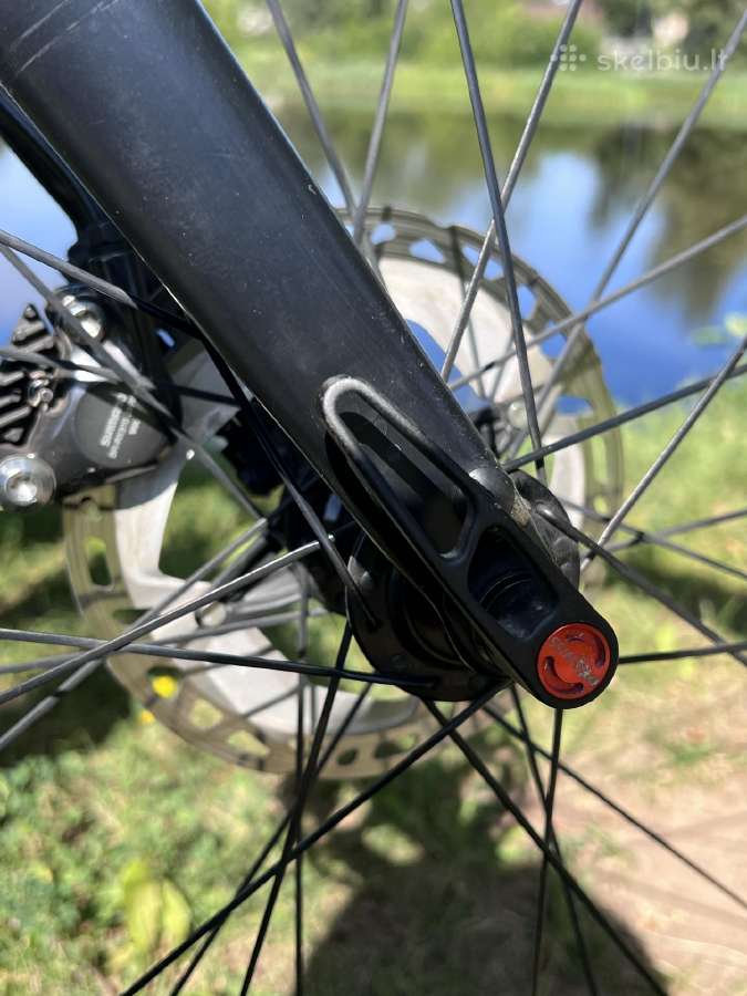 Rose pro cross - nuotraukos Nr. 6