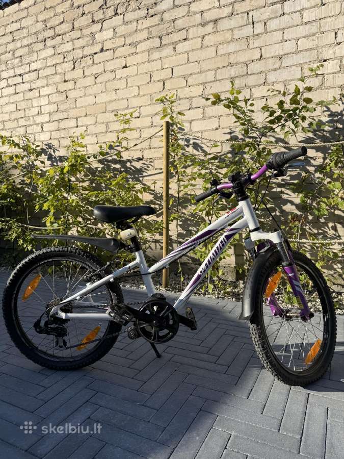 Dviratis Specialized - nuotraukos Nr. 4