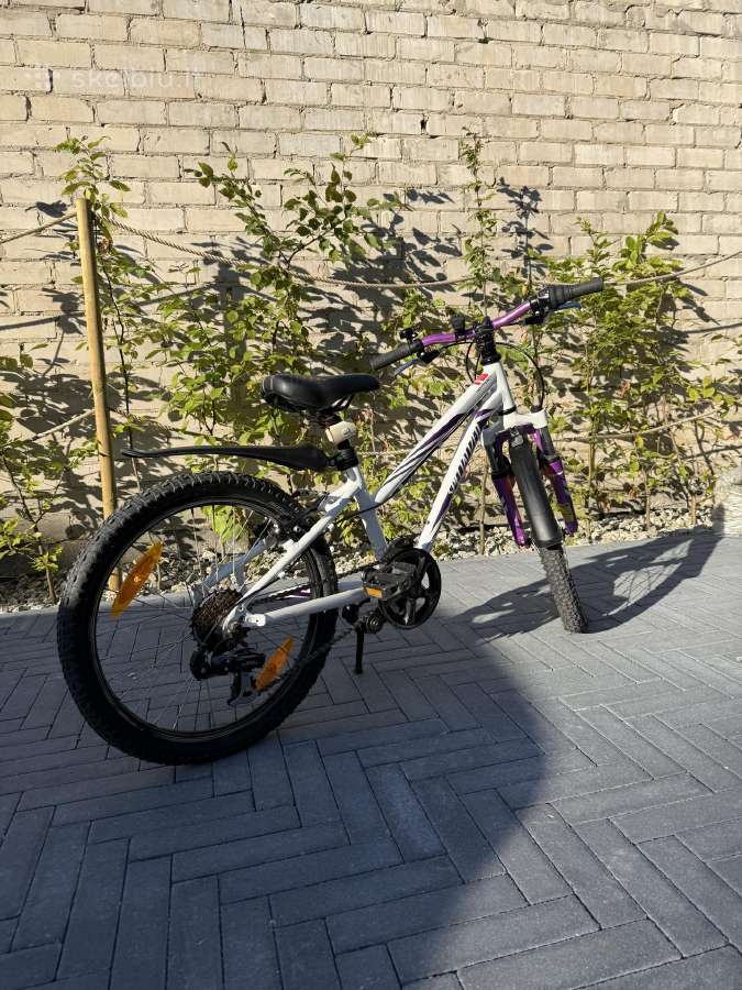 Dviratis Specialized - nuotraukos Nr. 5