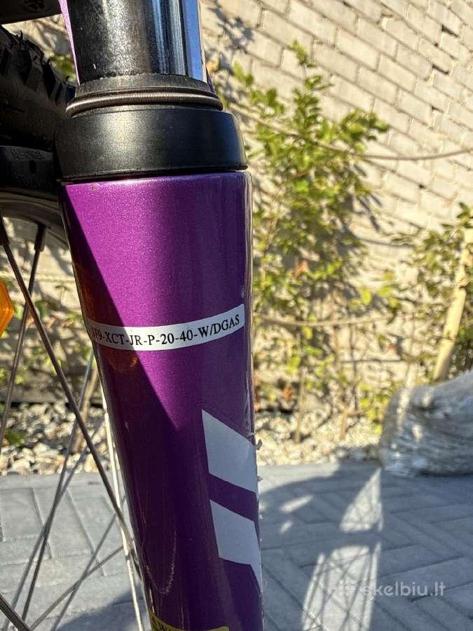 Dviratis Specialized - nuotraukos Nr. 3