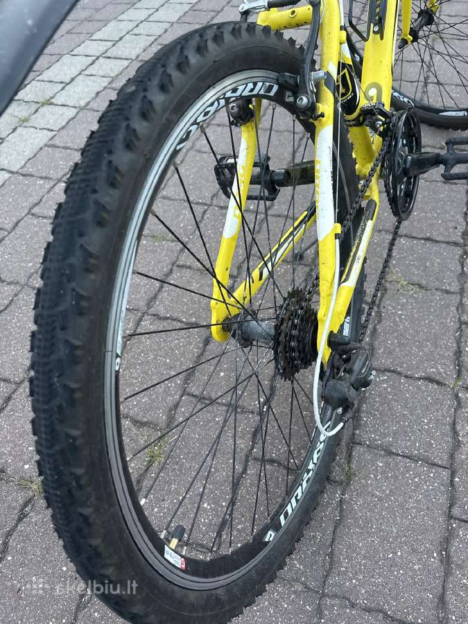 Drag dviratis all terrain - nuotraukos Nr. 3