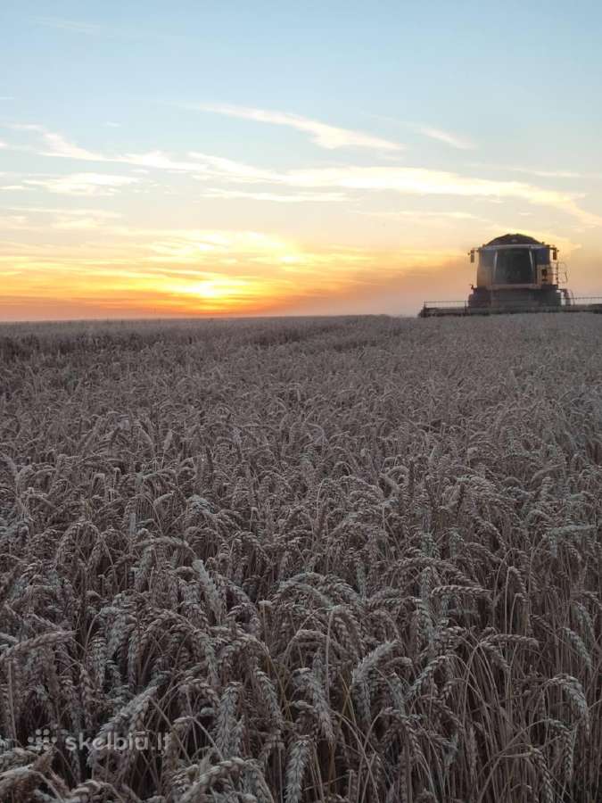 New holland cx8070 - nuotraukos Nr. 5