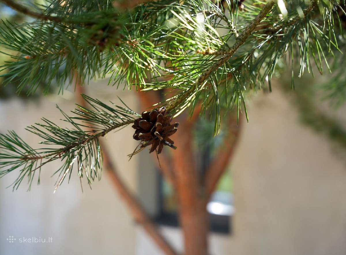 Parduodamas Naujos Statybos Namas , Jūratės 130 - nuotraukos Nr. 12