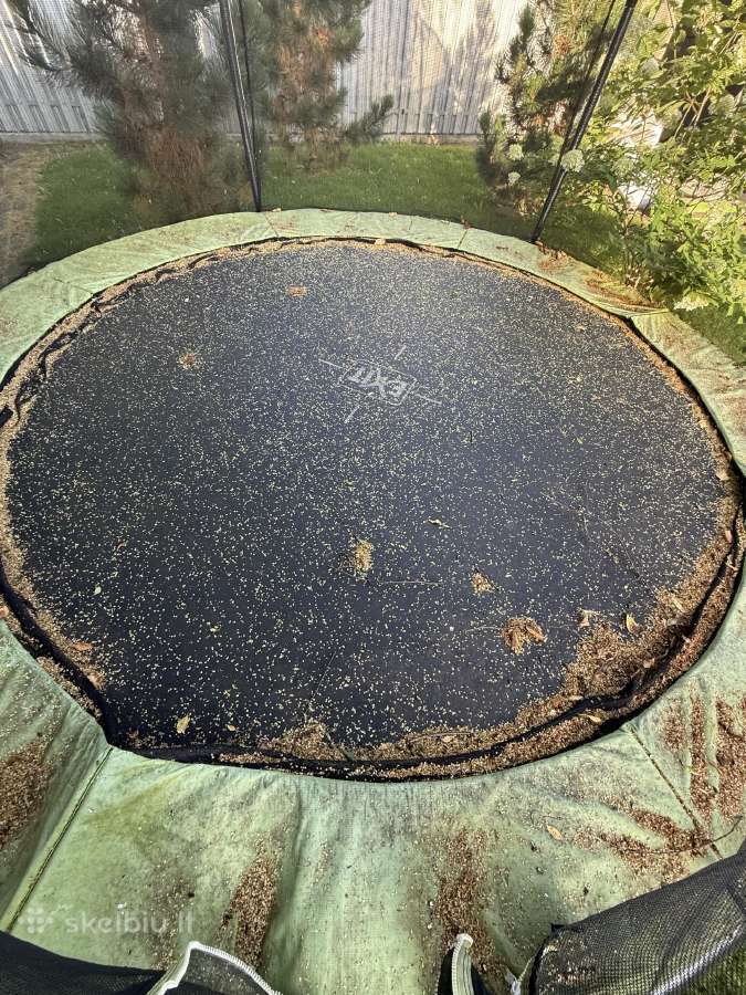 Dovanoju sveika 3m batuta - nuotraukos Nr. 2