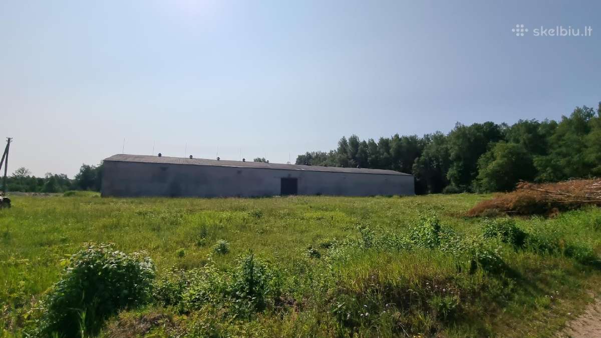 Sandėlio nuoma 1670 kv - nuotraukos Nr. 3