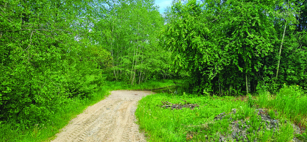 Parduodu 3 ha sklypą ūkininko sodybai - nuotraukos Nr. 2