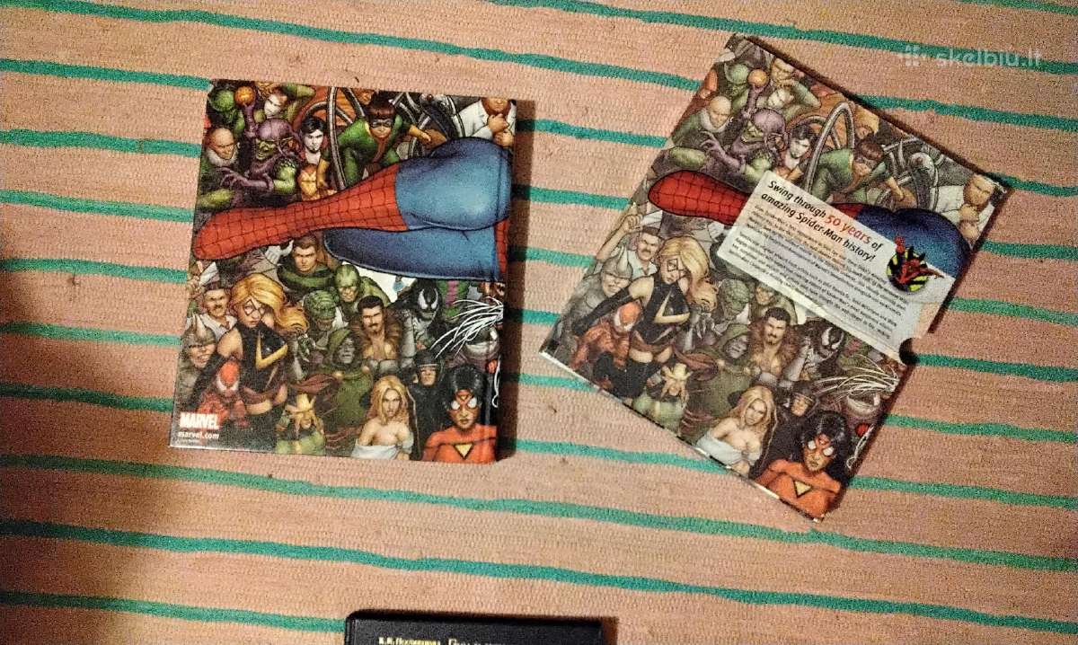 Spider-man Year by Year a Visual Chronicle - nuotraukos Nr. 11