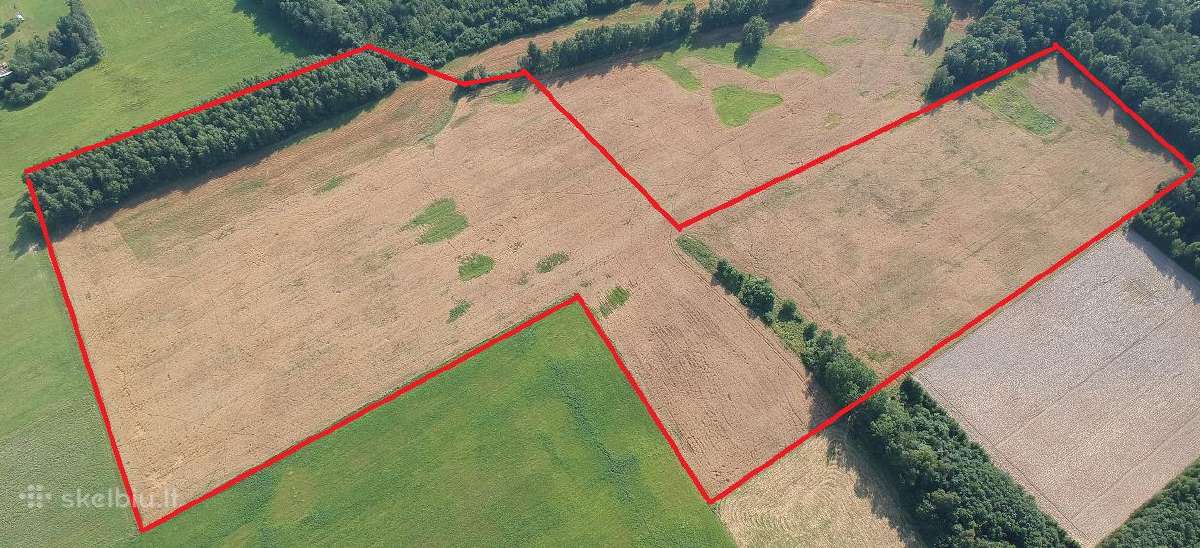 Nuomojamas 10.57ha sklypas - nuotraukos Nr. 2