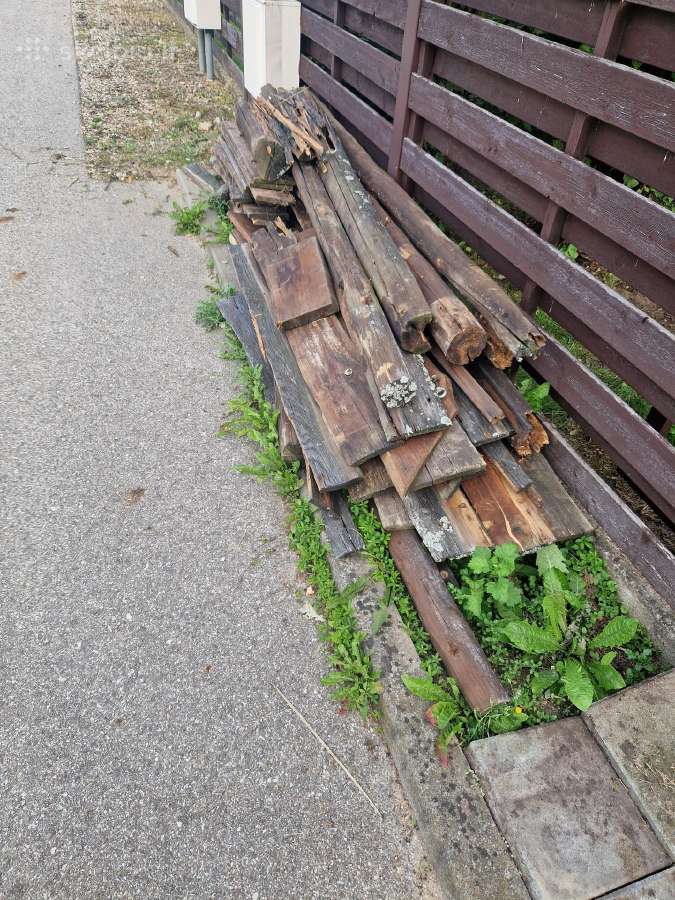 Dovanojama mediena - nuotraukos Nr. 2
