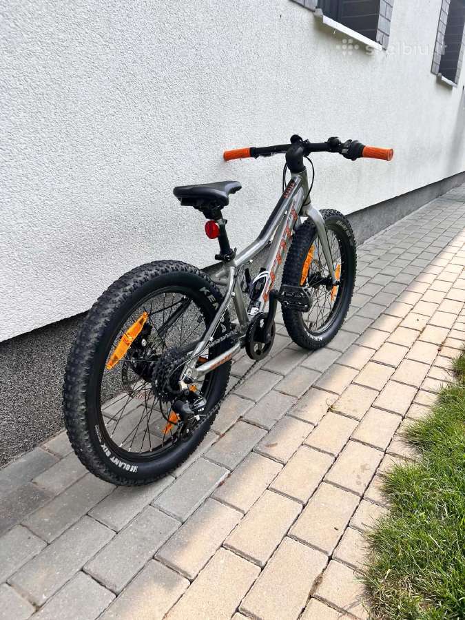 Scott Roxter 20. - nuotraukos Nr. 4