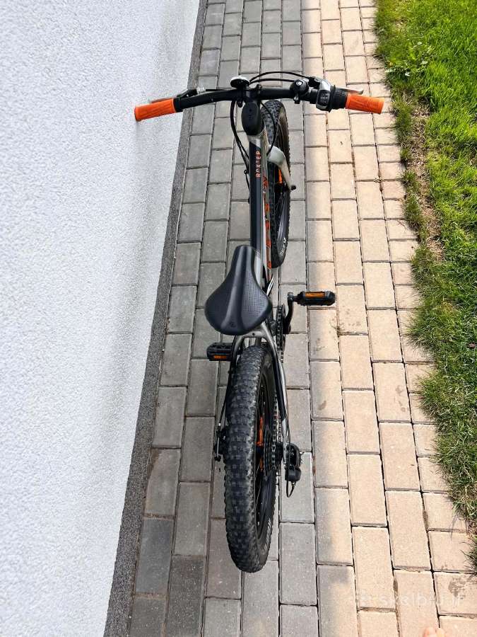 Scott Roxter 20. - nuotraukos Nr. 5