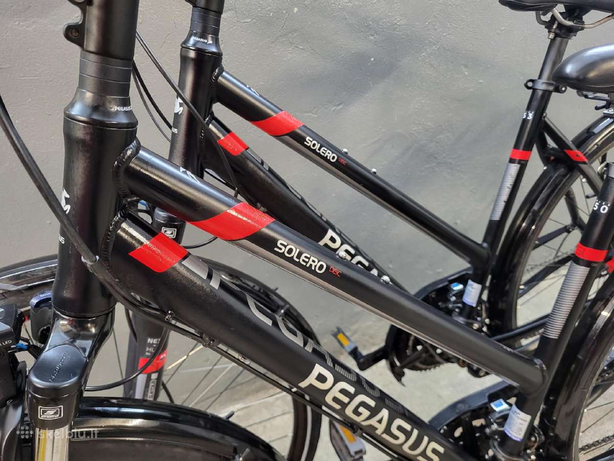 Universalūs dviračiai Pegasus M ir L - nuotraukos Nr. 12