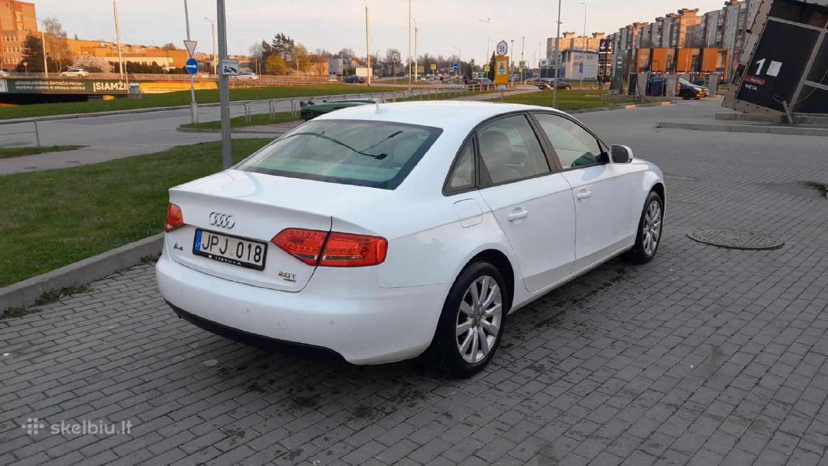 Quattro bet degina tepalus - nuotraukos Nr. 5