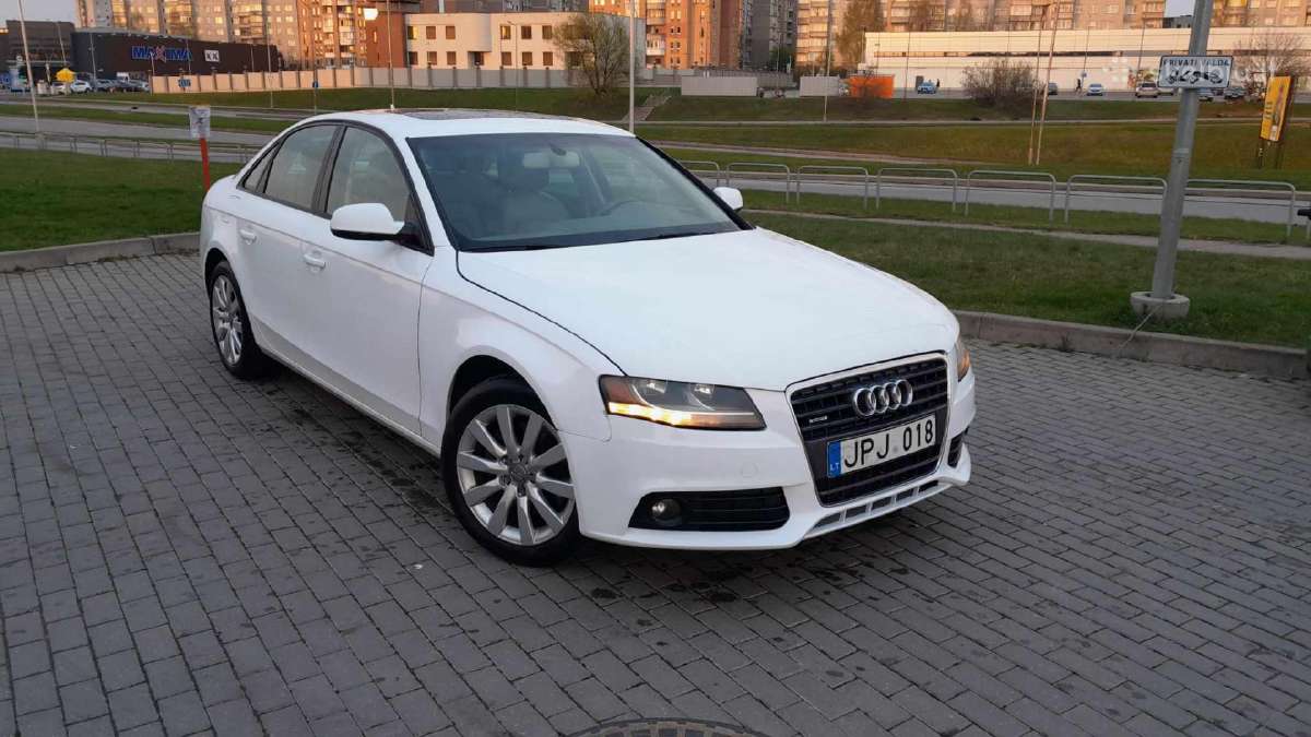 Quattro bet degina tepalus - nuotraukos Nr. 7