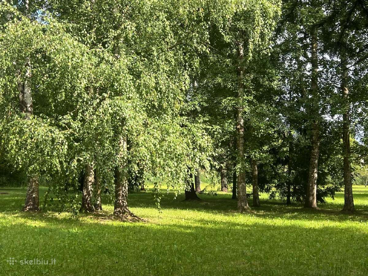 Išskirtinis 17 arų sklypas Biržuose - nuotraukos Nr. 2