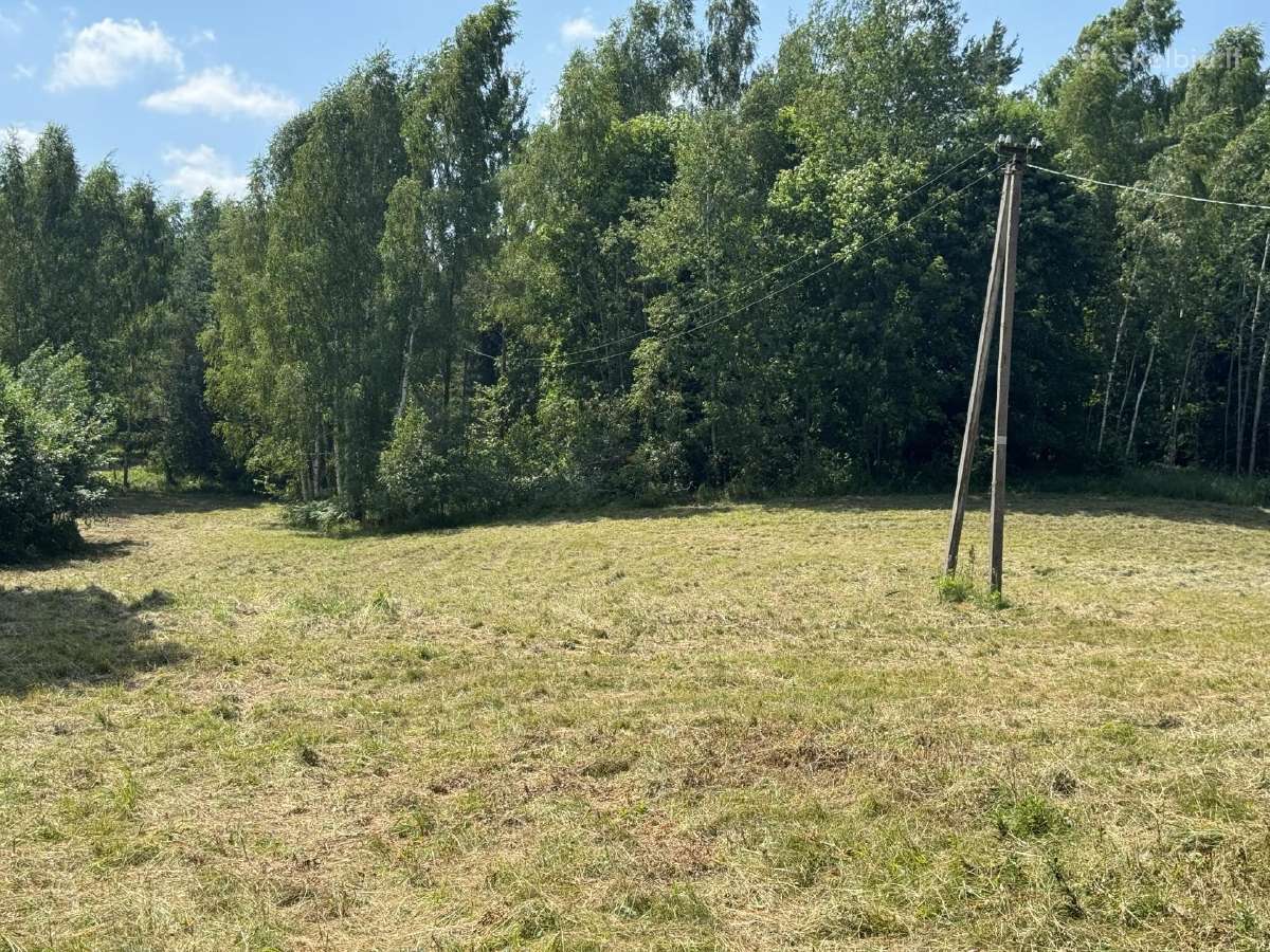 Sodyba Brinkliskiu kaime privati vieta! - nuotraukos Nr. 2