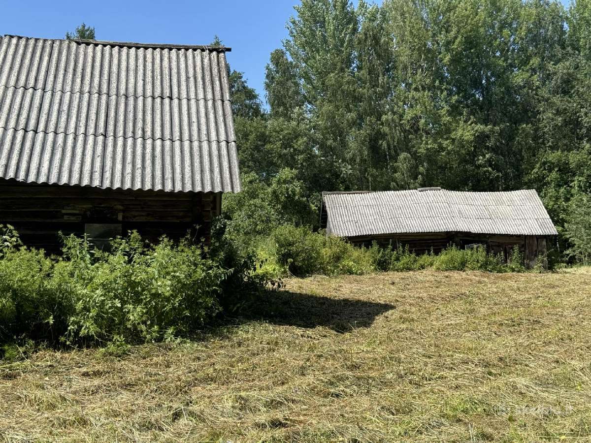 Sodyba Brinkliskiu kaime privati vieta! - nuotraukos Nr. 7