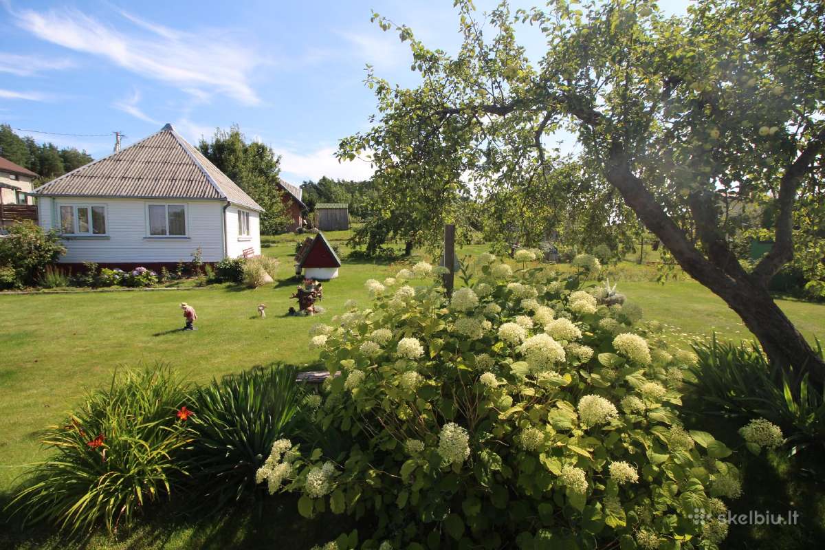 Jurkonių km., 2 sodo sklypai vienas šalia kito - nuotraukos Nr. 2