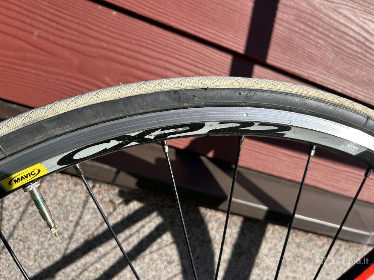 Karbono plentinis dviratis Felt F-series - nuotraukos Nr. 11