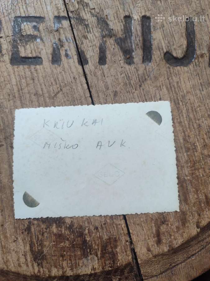 Tarpukario nuotraukos miškininkai - nuotraukos Nr. 13