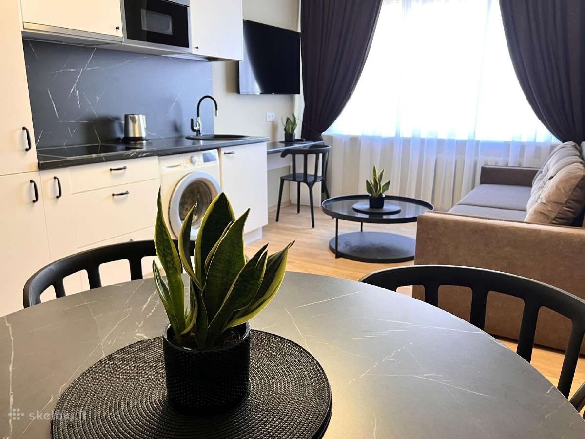 2 kambarių butas nuomai nuo rugsėjo mėn. - nuotraukos Nr. 8