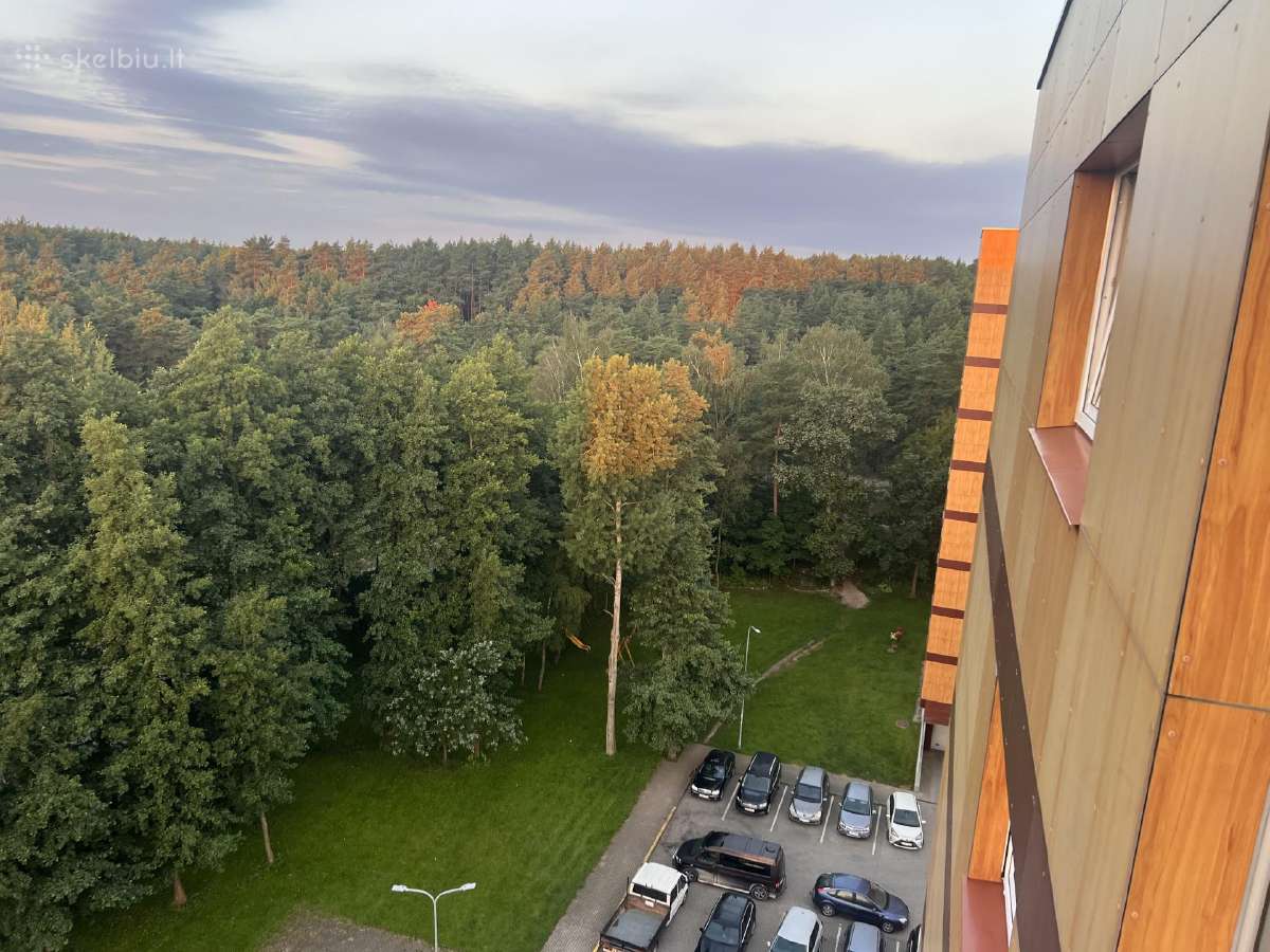 Išnuomojamas 3 Kambarių Butas Dragūnų g. Ilgalaikė - nuotraukos Nr. 3