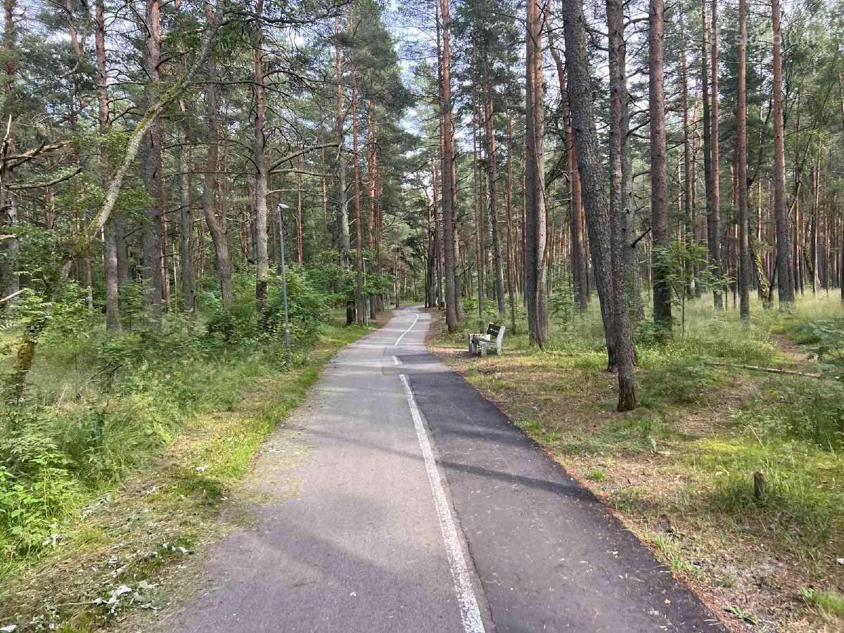 Išnuomojamas 3 Kambarių Butas Dragūnų g. Ilgalaikė - nuotraukos Nr. 14