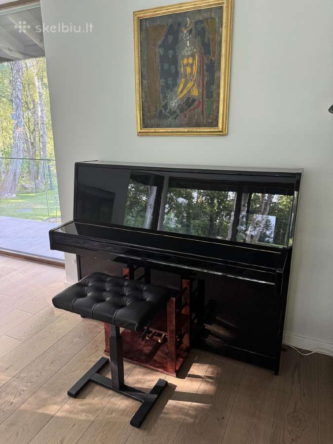 August Forster pianinas - nuotraukos Nr. 2