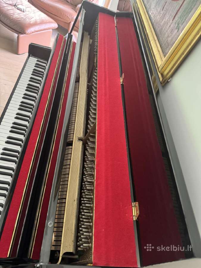 August Forster pianinas - nuotraukos Nr. 4