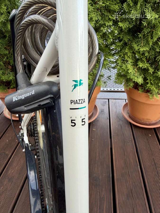 Pegasus Piazza I 55 (m-l) - nuotraukos Nr. 2