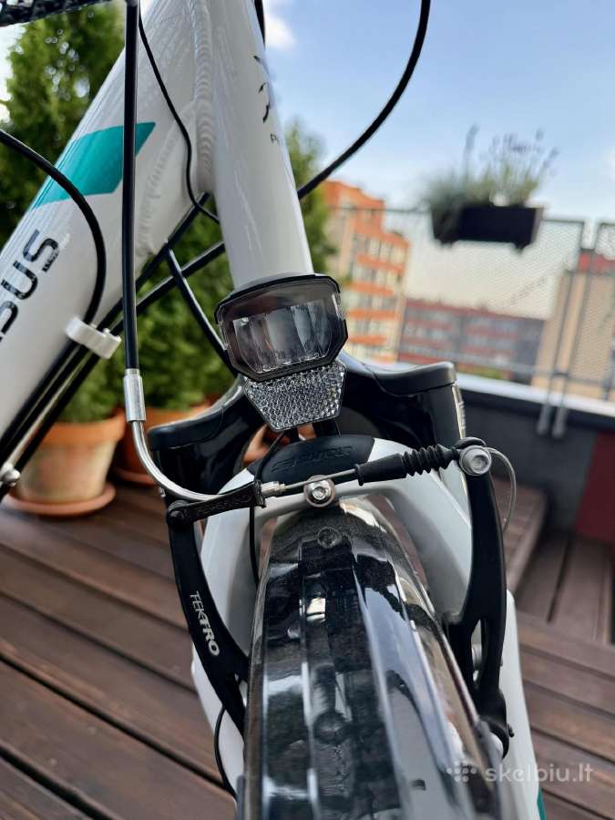 Pegasus Piazza I 55 (m-l) - nuotraukos Nr. 8