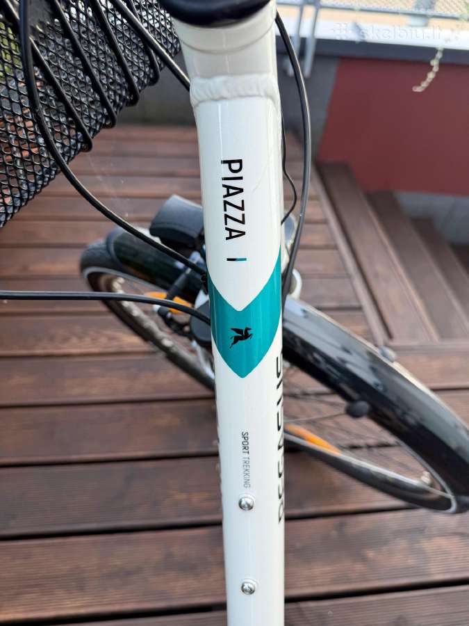 Pegasus Piazza I 55 (m-l) - nuotraukos Nr. 3