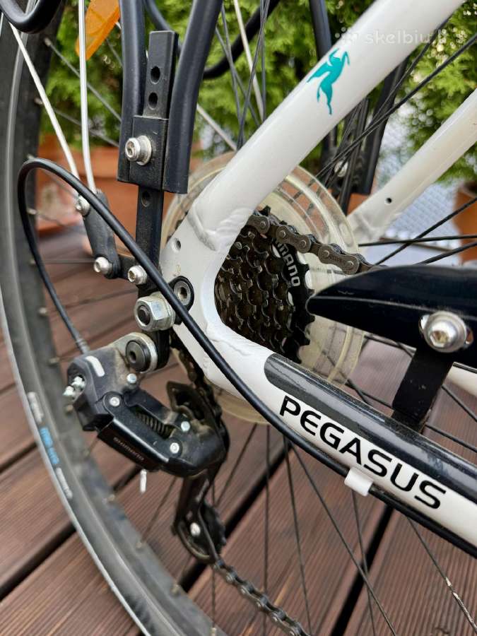 Pegasus Piazza I 55 (m-l) - nuotraukos Nr. 4