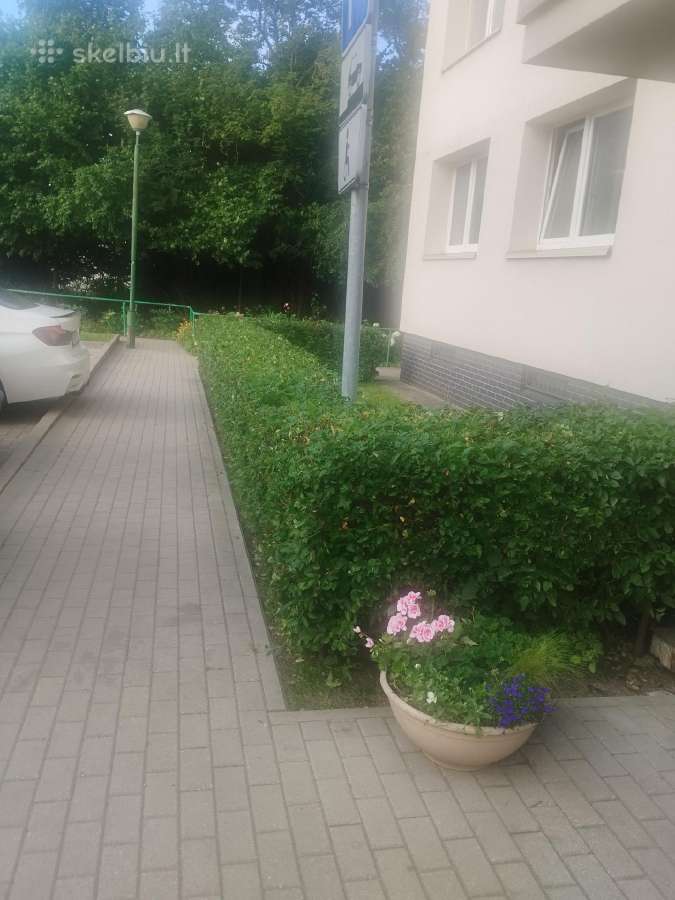 Vejos aeravimas, vejos atkūrimas, medžių genėjima - nuotraukos Nr. 6