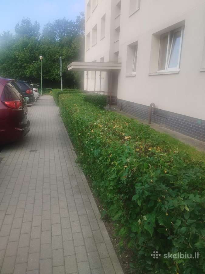 Vejos aeravimas, vejos atkūrimas, medžių genėjima - nuotraukos Nr. 7