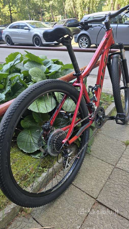 Fuji Addy dviratis - nuotraukos Nr. 2
