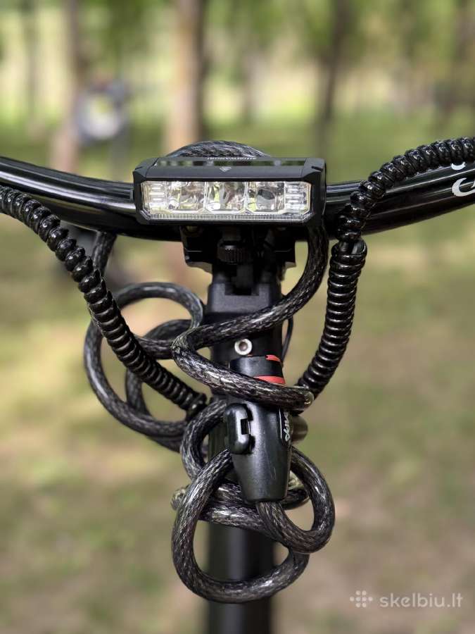 Dualtron thunder 1 - nuotraukos Nr. 4