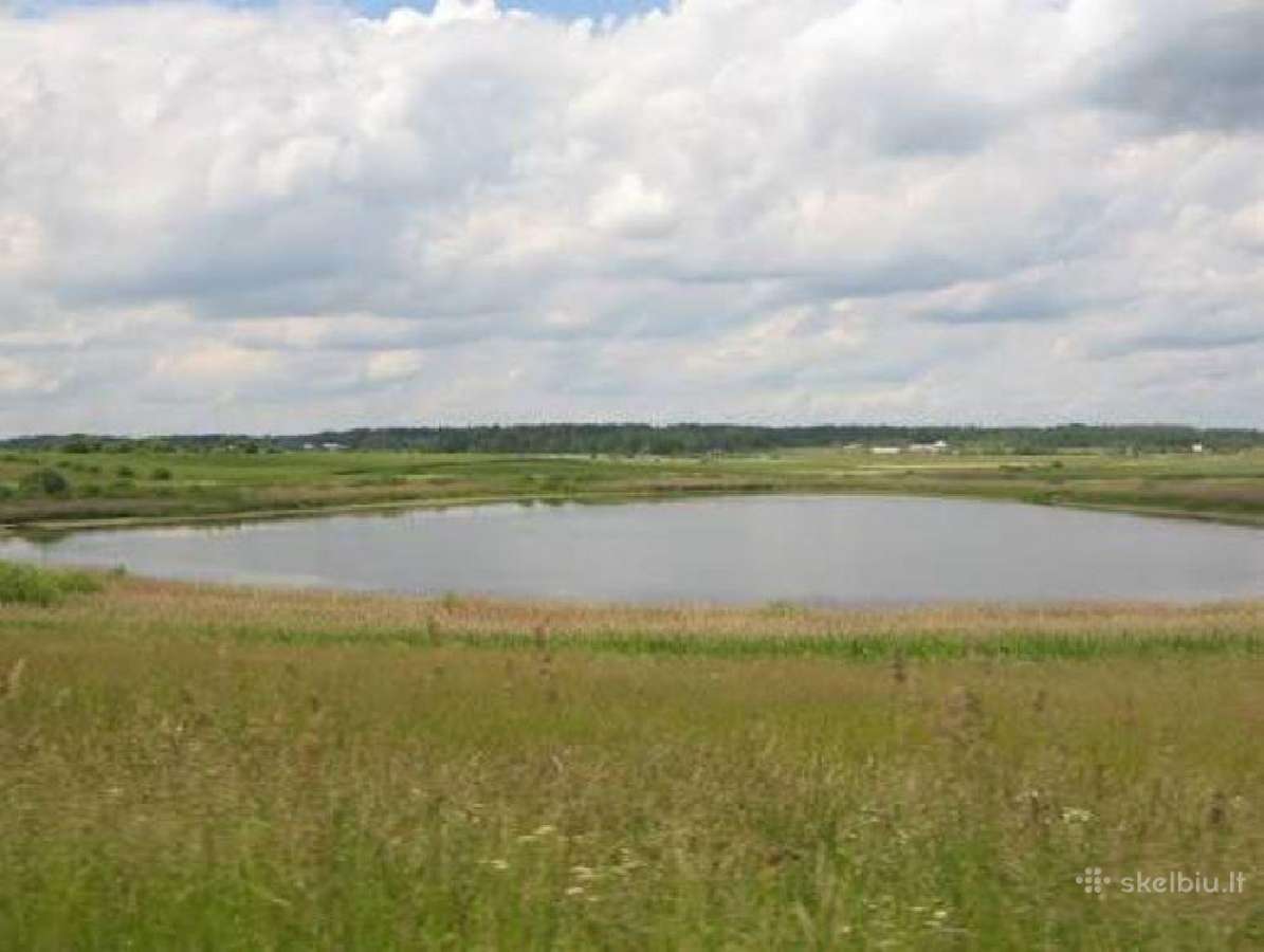 8 sklypų masyvas prie Pamierio ežero - nuotraukos Nr. 3