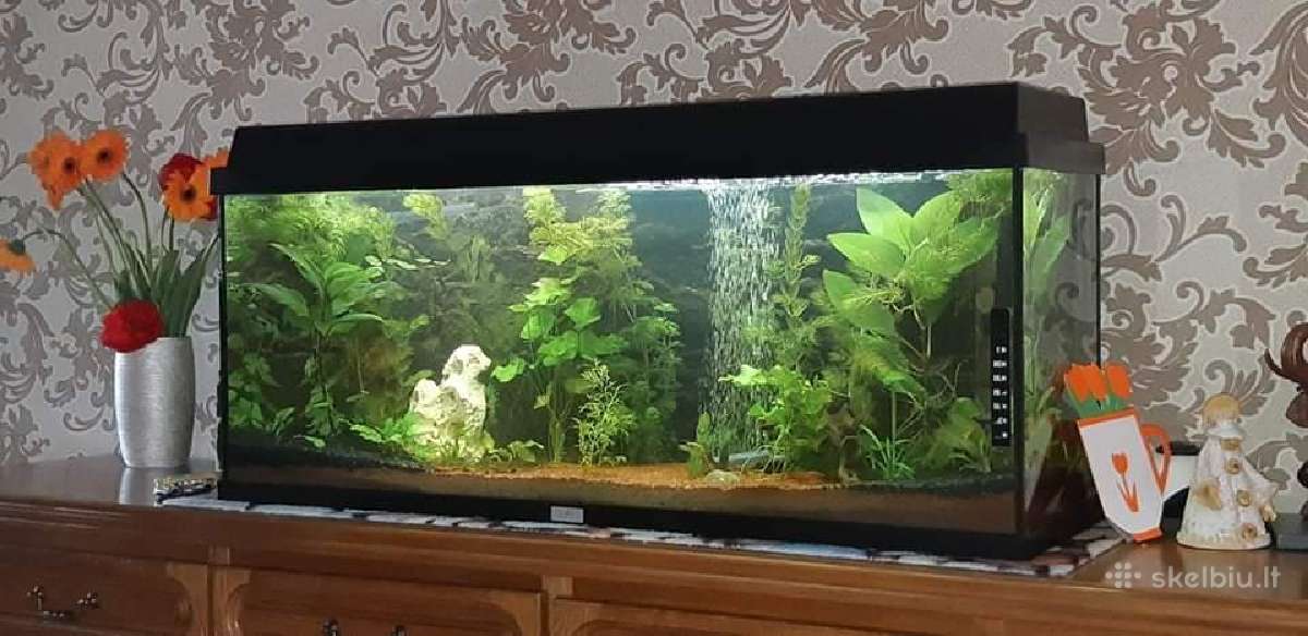 Juvel 120l su viskuom - nuotraukos Nr. 14