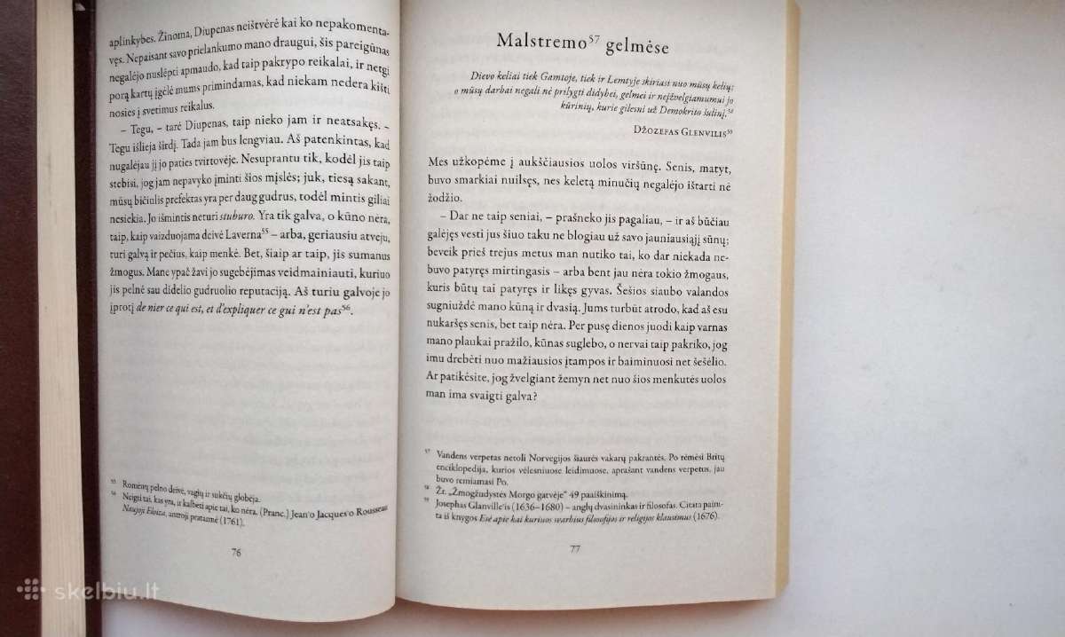 E. A. Poe. Auksinis vabalas. 2013 m. leid. - nuotraukos Nr. 6