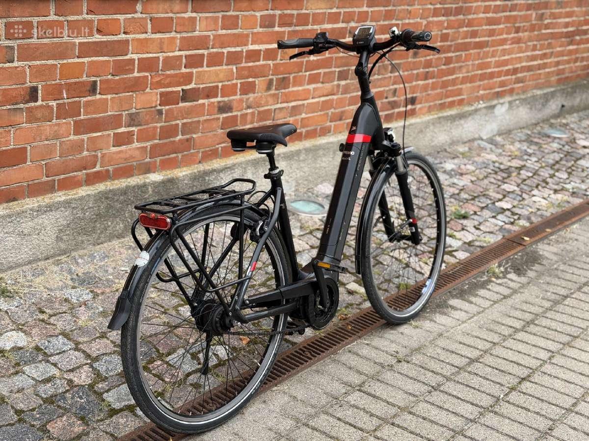 Pegasus Premio ‘Bosch elektrinis dviratis - nuotraukos Nr. 3