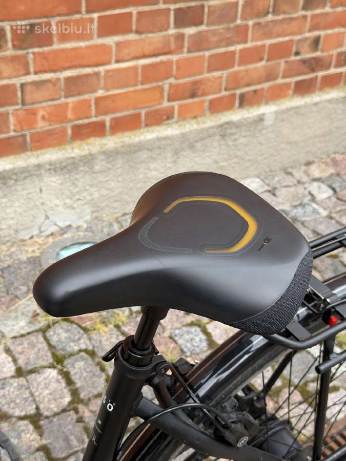 Pegasus Premio ‘Bosch elektrinis dviratis - nuotraukos Nr. 9
