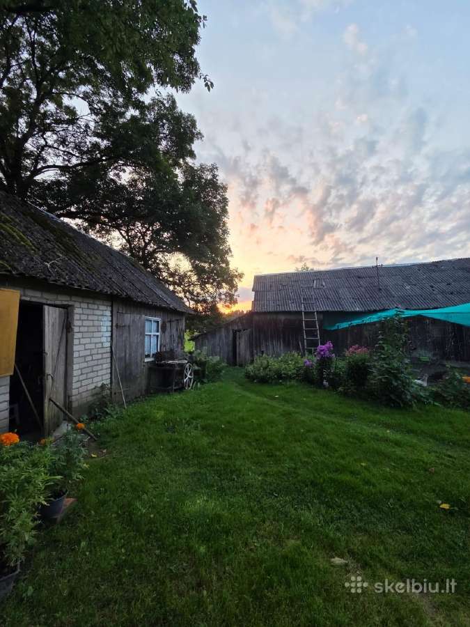 Sodyba su mišku,tvenkiniu ir pirtimi- Šilales Raj. - nuotraukos Nr. 14