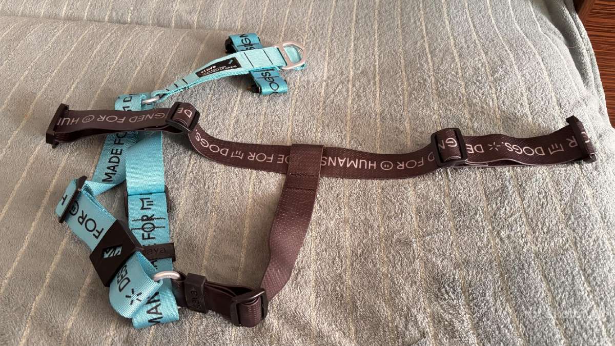 Staya Mono Blue šunų petnešos – naujos, 62–90 cm - nuotraukos Nr. 2
