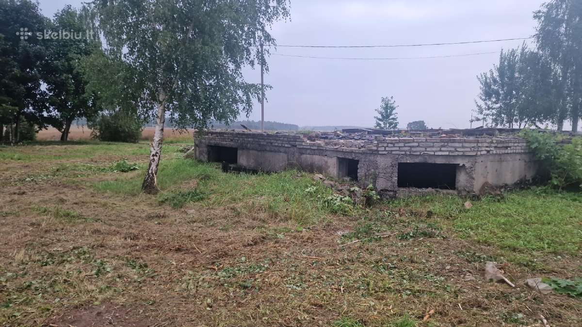 Žolės pjovimas Krūmų ir Medžių šalinimas - nuotraukos Nr. 8
