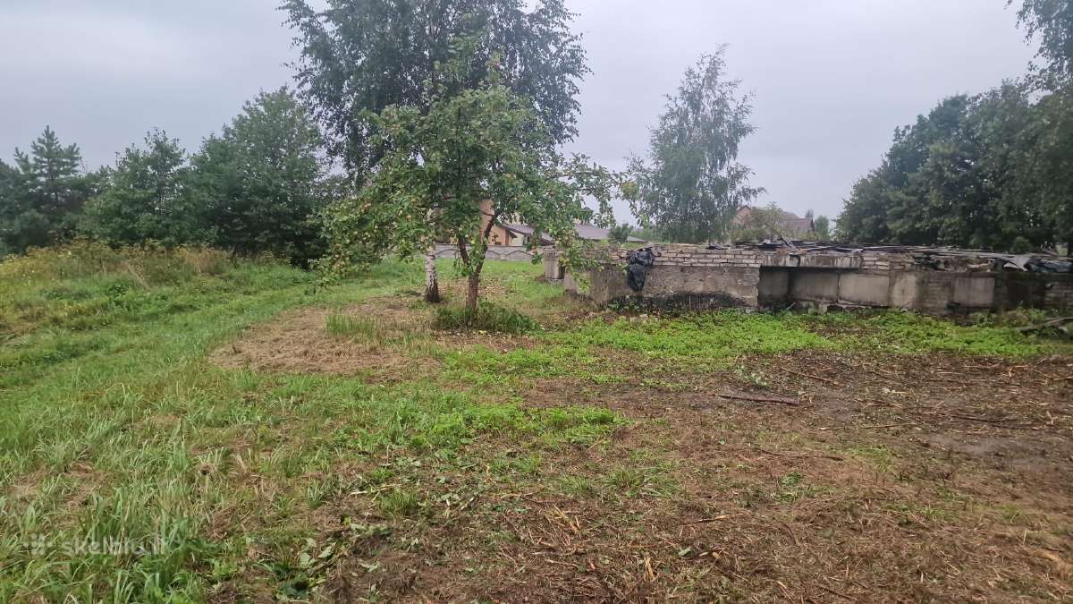 Žolės pjovimas Krūmų ir Medžių šalinimas - nuotraukos Nr. 9