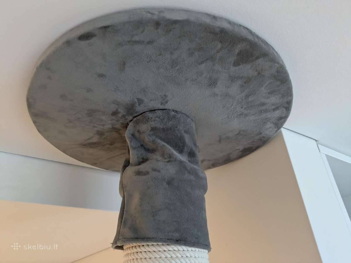 Draskyklė "Šėlsmo stulpas", dviejų pakopų - nuotraukos Nr. 7