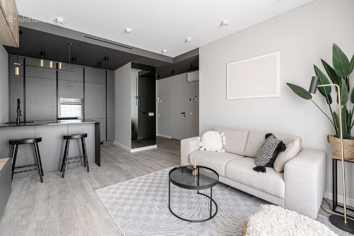Šviesūs ir jaukūs apartamentai Ozo parke - nuotraukos Nr. 3