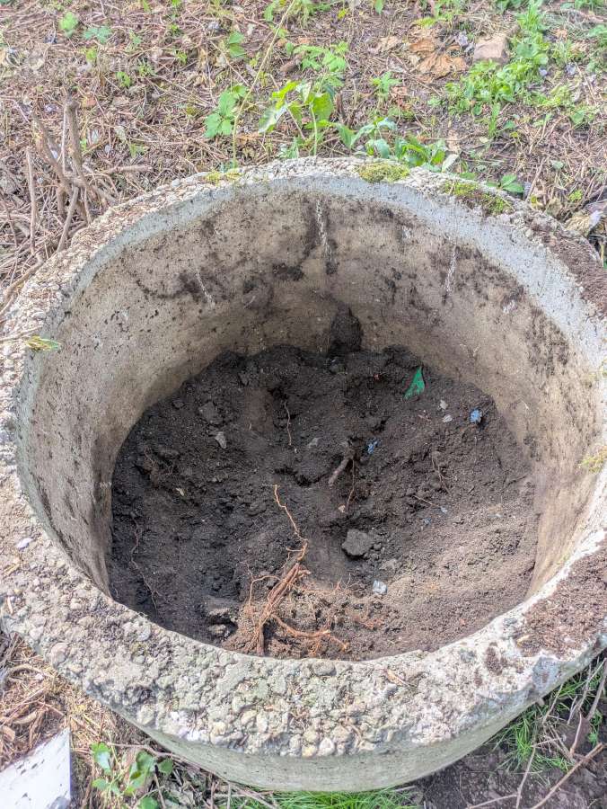 Nemokamai atiduodu šulinio žiedą - nuotraukos Nr. 2